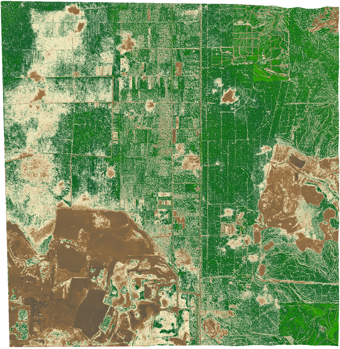 Vegetation health visualized using the Normalized Difference Vegetation Index, where greener areas indicate higher biomass and healthier plant growth.